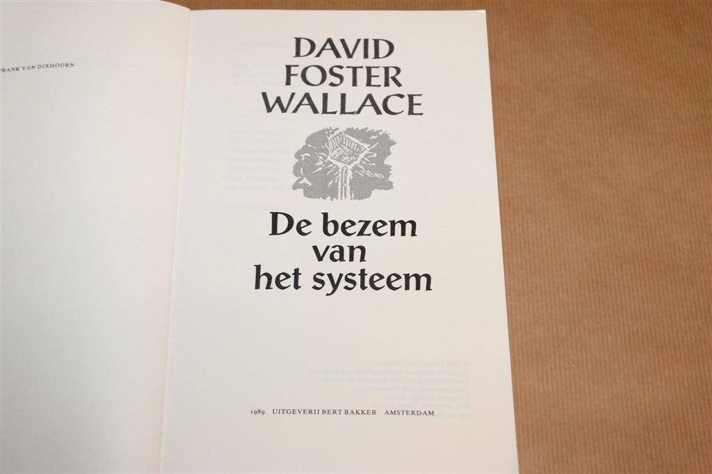 De Bezem van het Systeem — David Foster Wallace, Bakker 1989, Ophalen of Verzenden, Gelezen