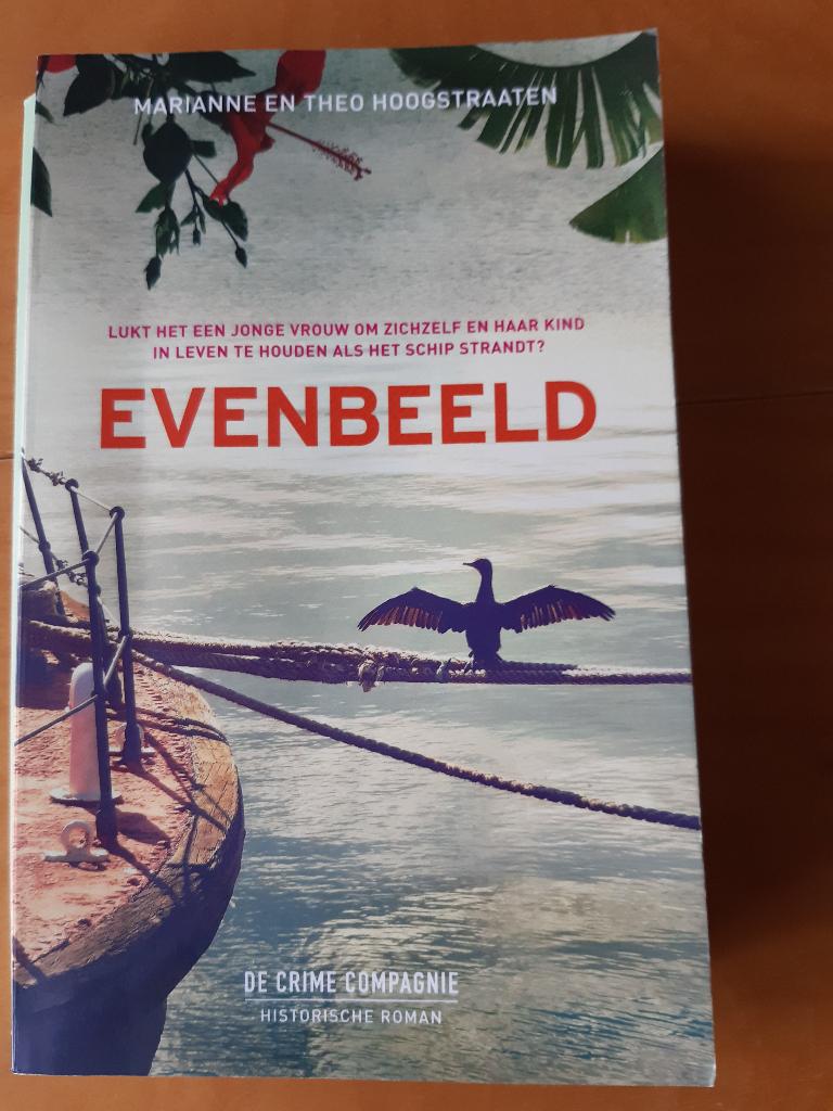 Spannende, deels historische, roman M&T Hoogstraaten, Boeken, Detectives, Ophalen of Verzenden, Gelezen
