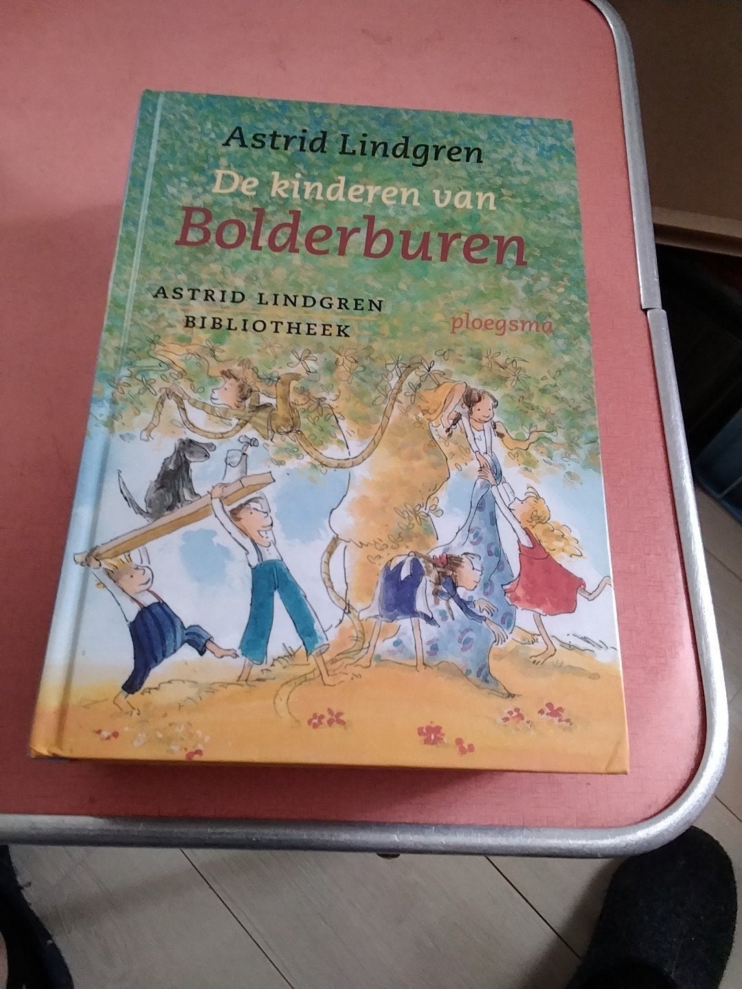 Astrid Lindgren kinderen van bolderburen € 5, Boeken, Ophalen of Verzenden, Gelezen