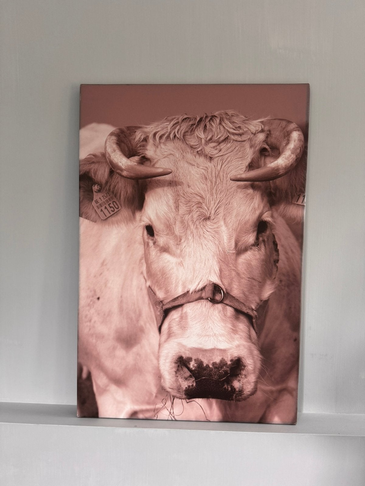 Foto op canvas, Ophalen, Zo goed als nieuw, 125 cm of meer, Schilderij
