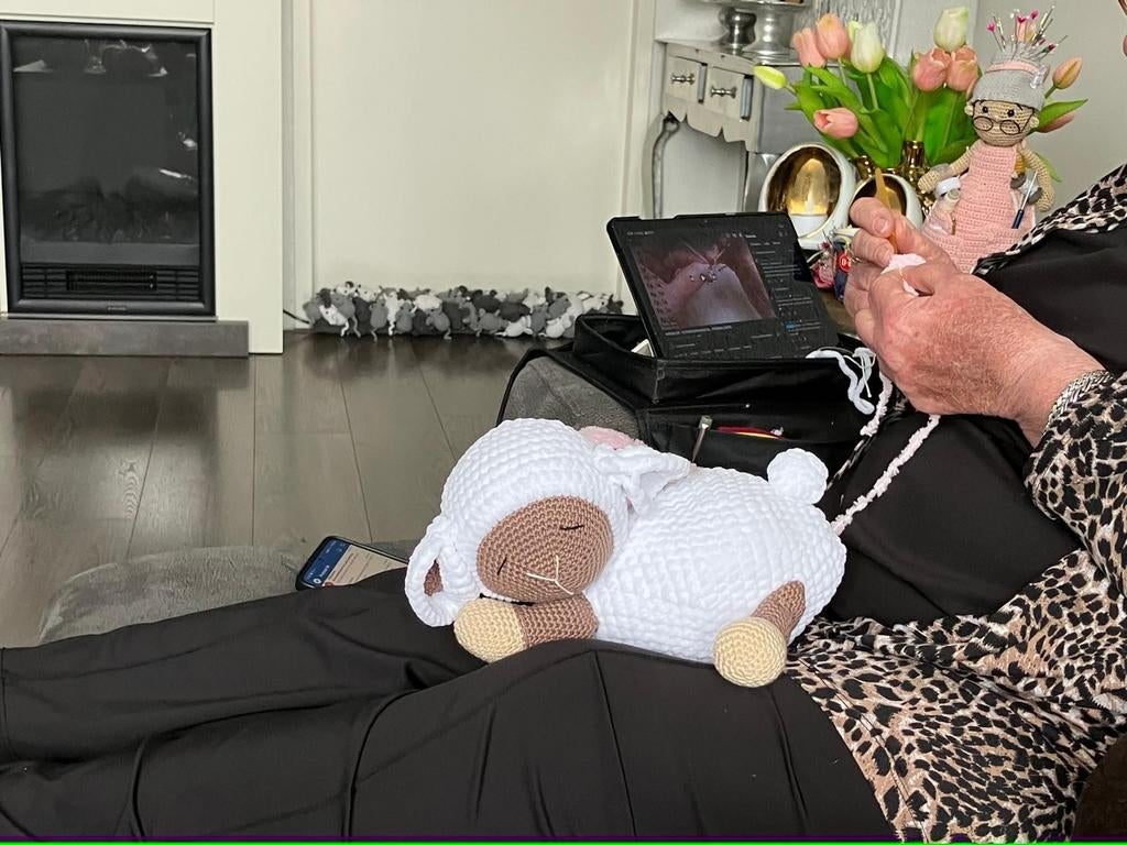 Handgemaakte Kraamcadeaus: Olifant & Schaap met Speeldoos, Ophalen of Verzenden