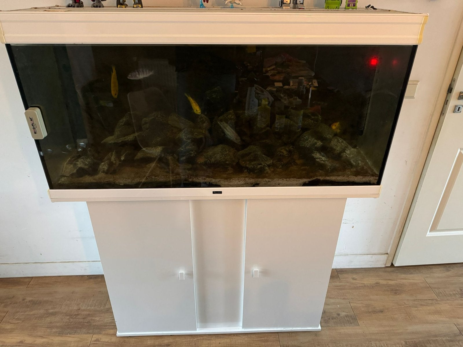 Aquatlantis aquarium 300L 120x60x40 (BxHxD) - enkel ophalen, Ophalen, Gebruikt, Inclusief deksel, Aquatlantis
