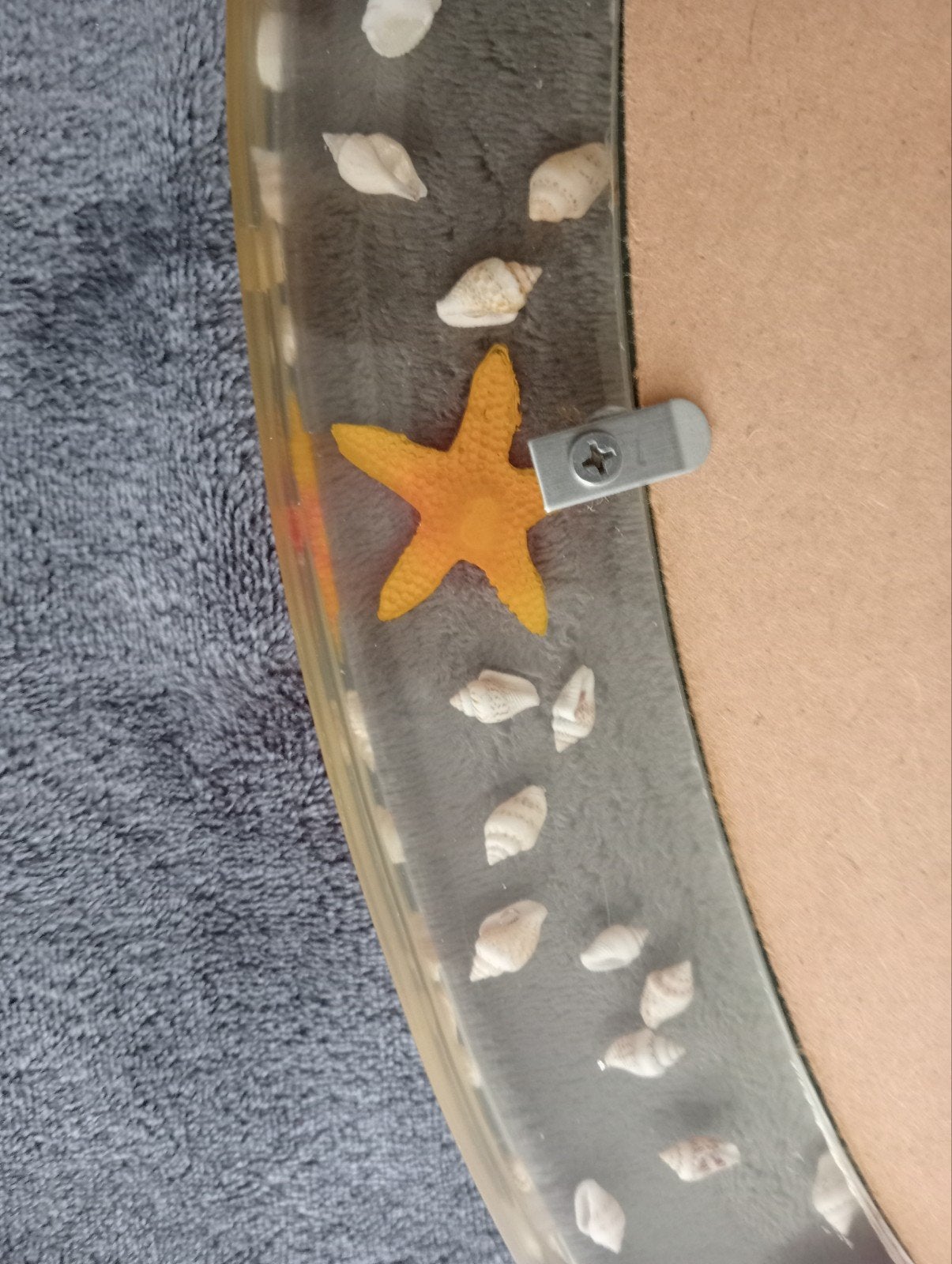 Leuke spiegel schelpen👀 magneetjes visjes, Ophalen, Rechthoekig, Minder dan 50 cm, Minder dan 100 cm