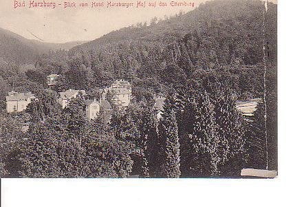 Ansichtkaart 	Bad Harzburg (D) Harzburger Hof opEtterberg, Verzenden, 1920 tot 1940, Ongelopen, Duitsland