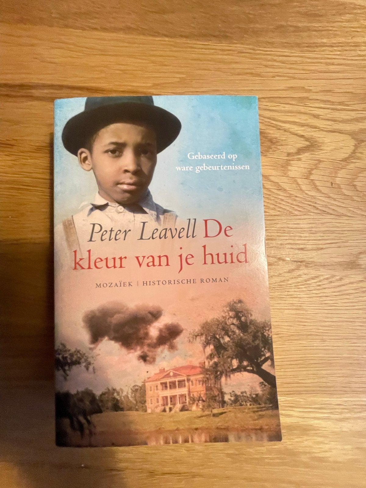 Peter Leavell - De kleur van je huid (Historische roman), Ophalen of Verzenden, Zo goed als nieuw