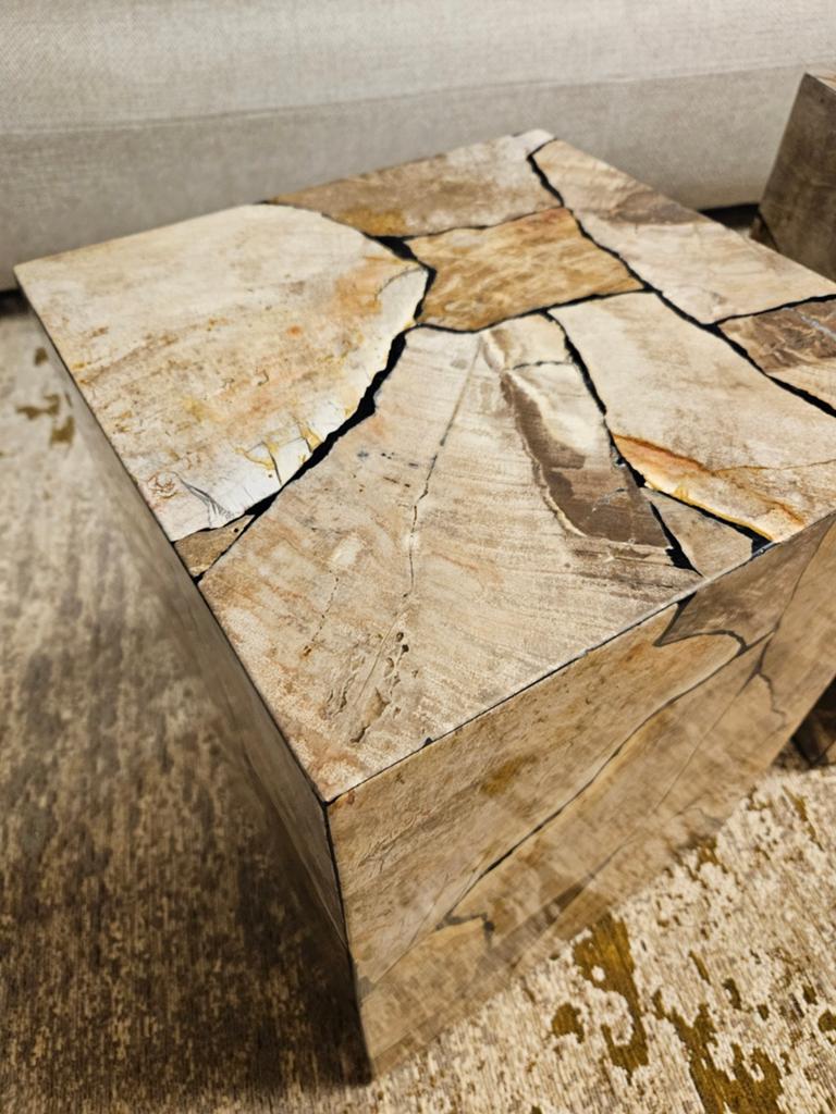 Bijzettafel salontafel versteend hout patrified wood, 50 tot 100 cm, Minder dan 50 cm, Rechthoekig, 50 tot 100 cm