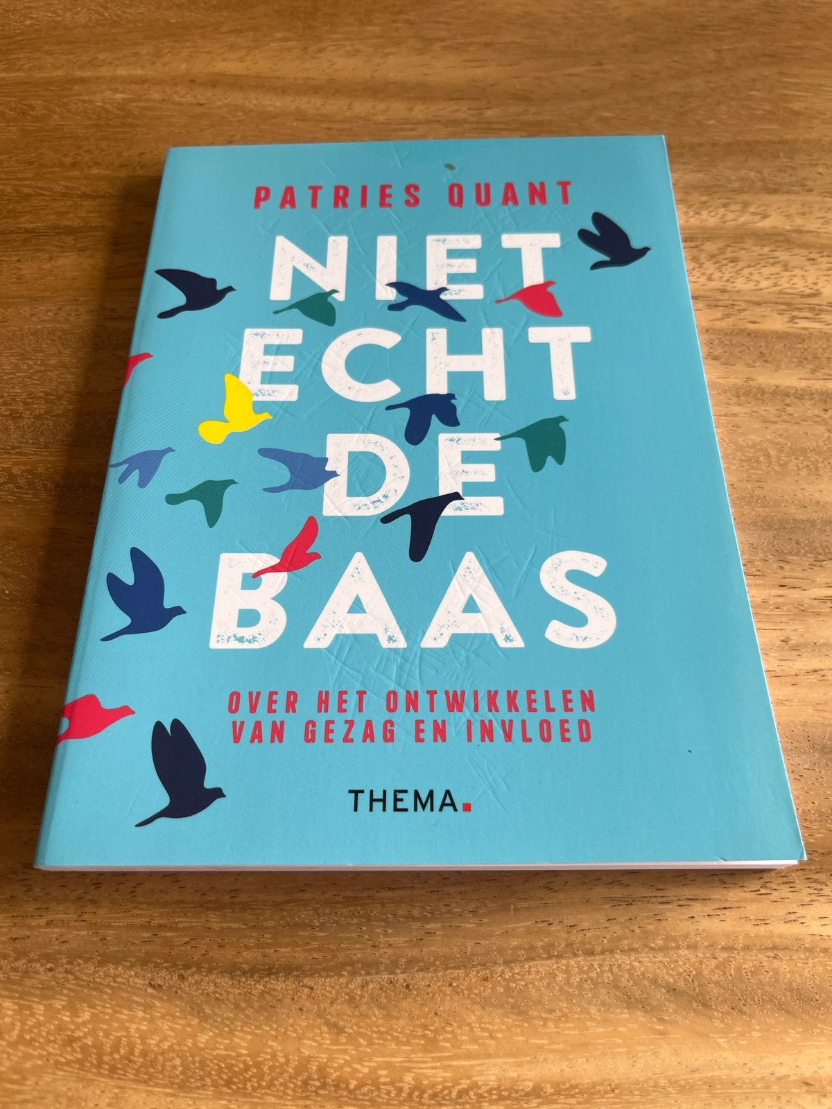 Niet Echt De Baas - Patries Quant (Boek), Boeken, Literatuur, Zo goed als nieuw, Nederland, Ophalen of Verzenden