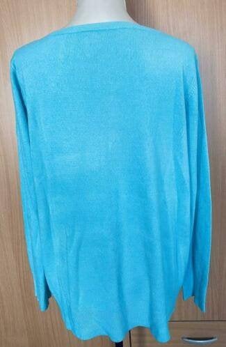 Turquoise trui maat XL, Kleding | Dames, Ophalen of Verzenden, Zo goed als nieuw, Maat 46/48 (XL) of groter, Overige kleuren