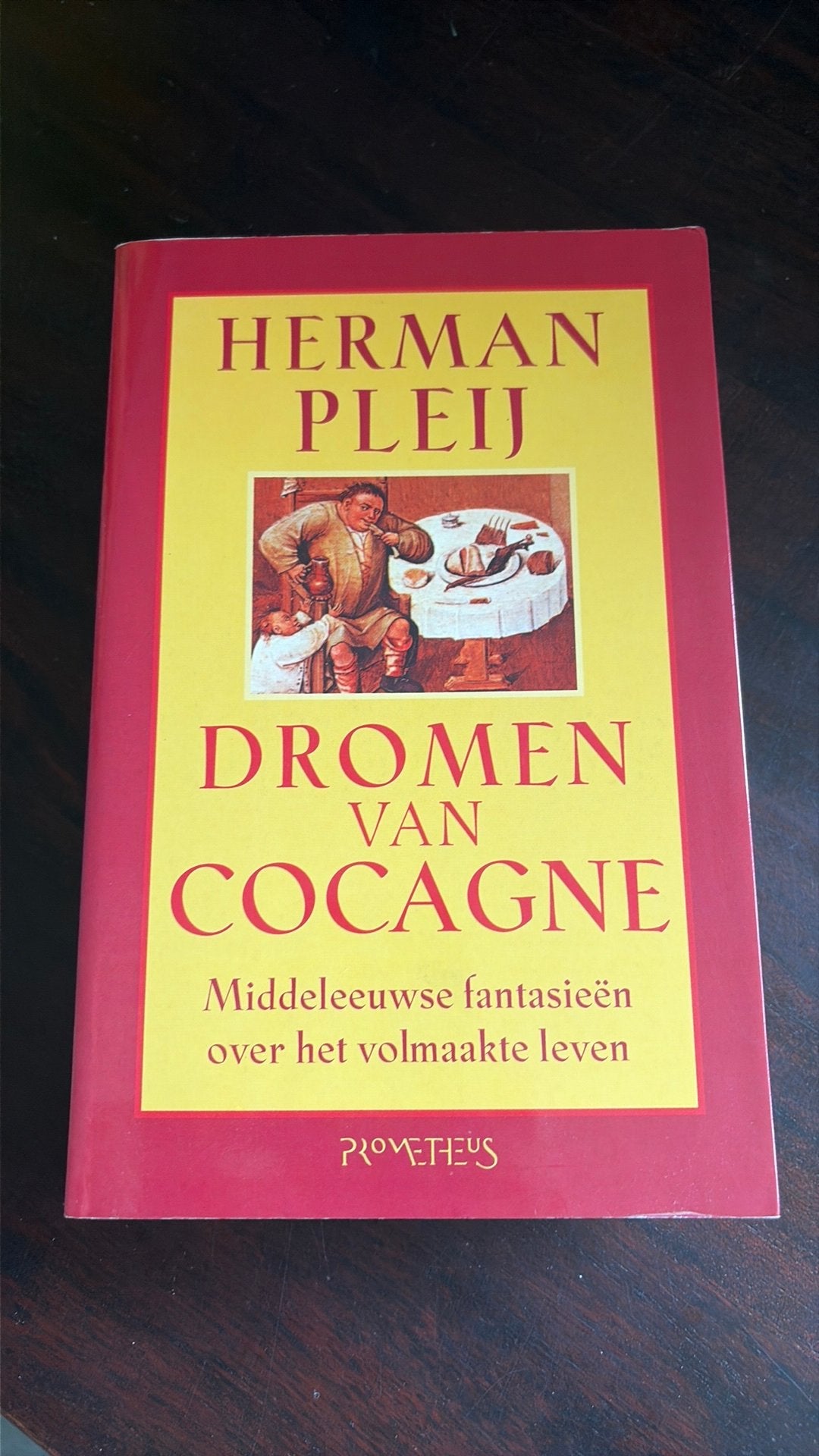 Dromen van Cocagne - Herman Pleij, Boeken, Gelezen, 14e eeuw of eerder, Ophalen of Verzenden, Overige gebieden