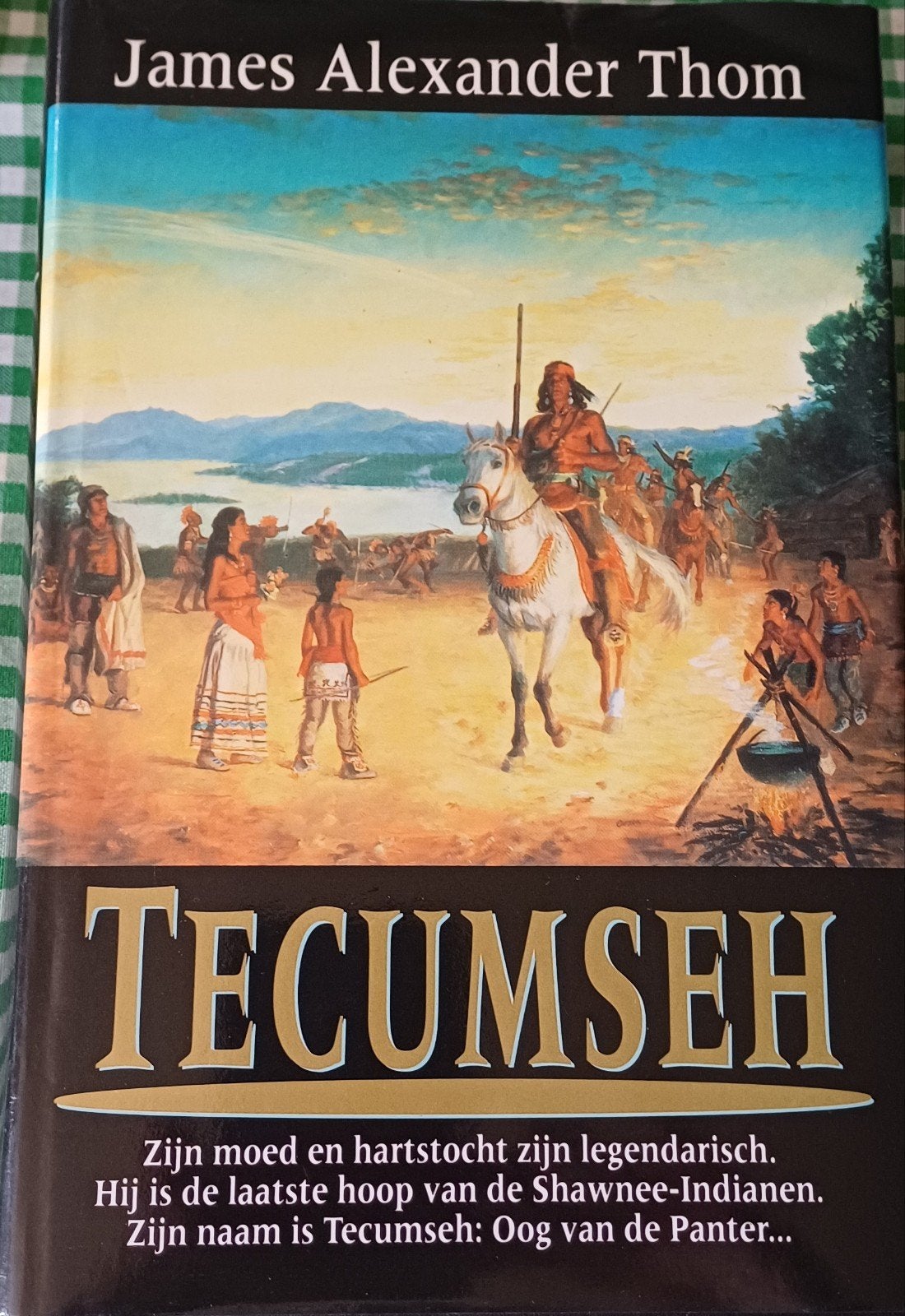 Tecumseh - James Alexander Thom, Ophalen of Verzenden, Gelezen, James Alexander Thom, Amerika