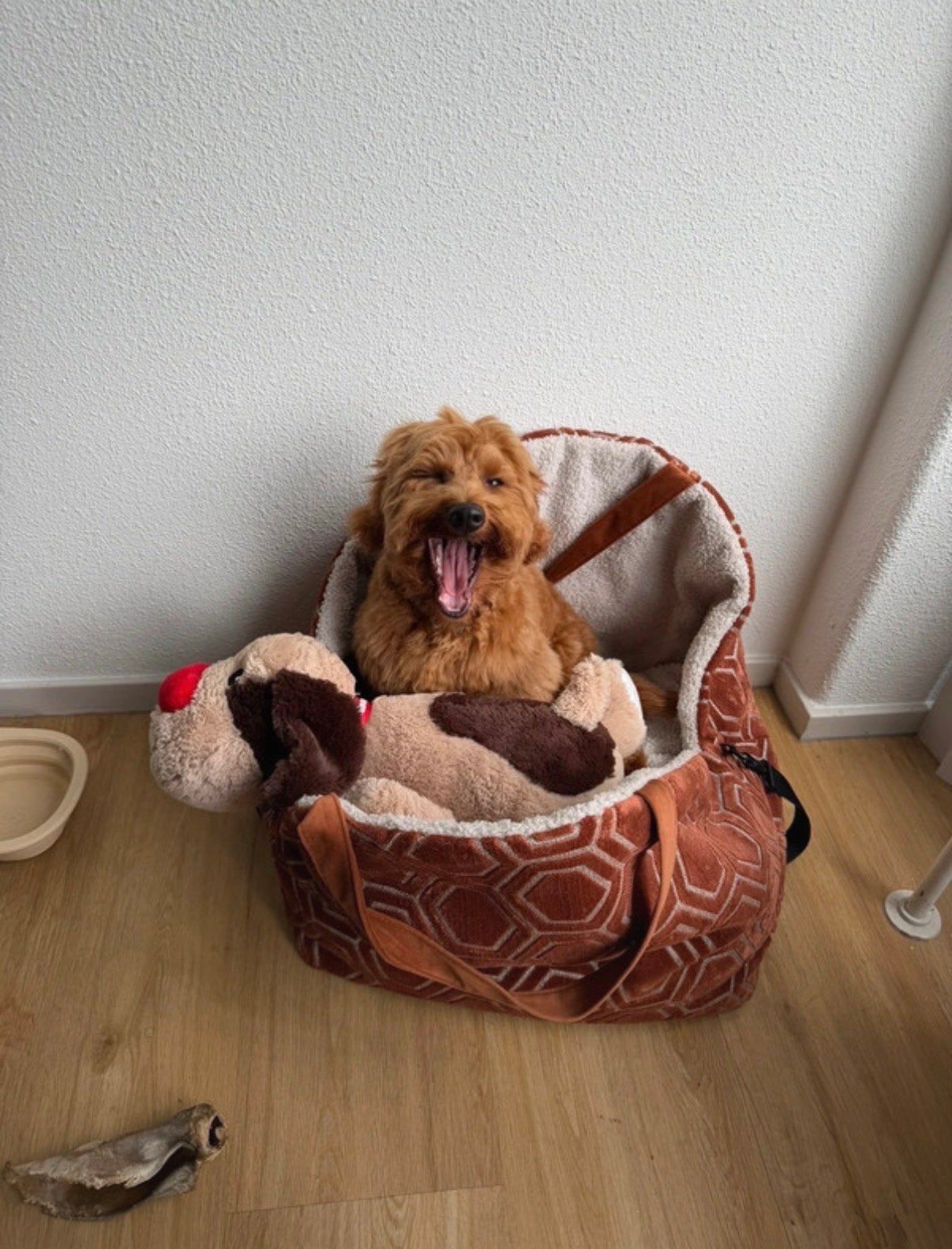 WOOFF ‘transportbag’ hond, Ophalen of Verzenden, Zo goed als nieuw