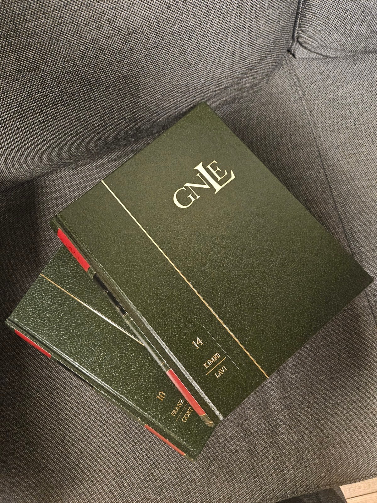 Grote Nederlandse Larousse encyclopedie, Boeken, Ophalen of Verzenden, Zo goed als nieuw, Los deel