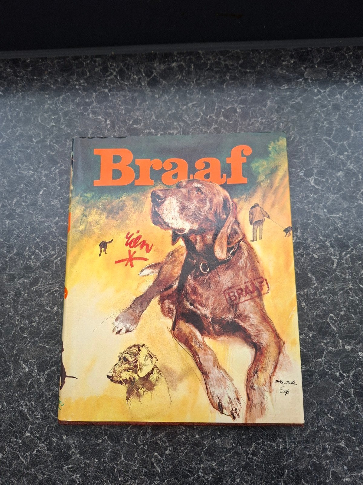Braaf: Een prachtig geïllustreerd hondenboek, Boeken, Ophalen of Verzenden, Gelezen, Honden, Onbekend