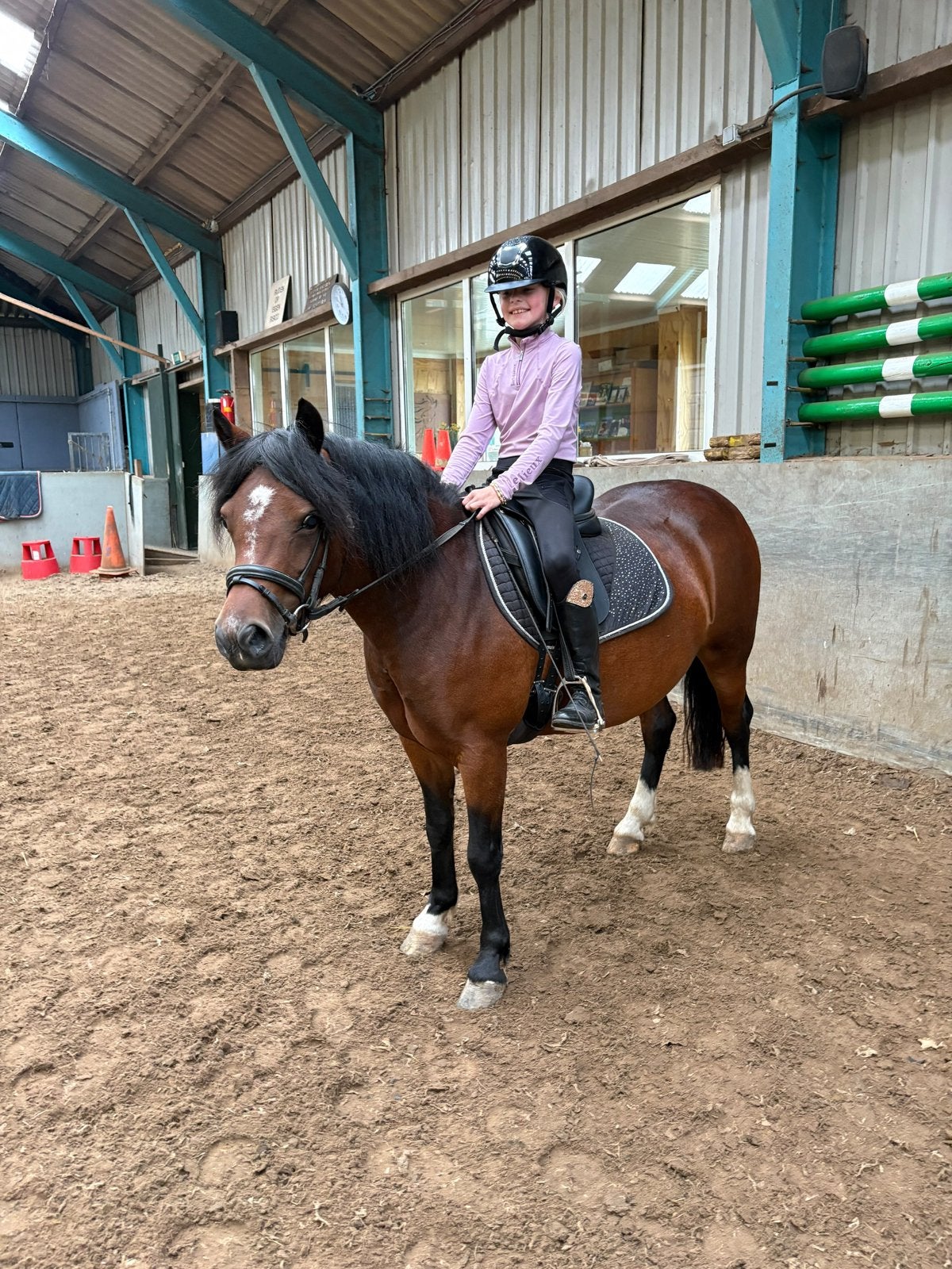 Lieve grote B pony te koop, Minder dan 160 cm, Niet van toepassing, 3 tot 6 jaar, Recreatiepaard