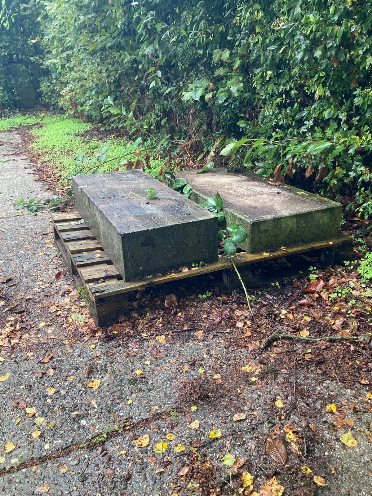 Betonnen bielzen, 1 tot 2 stuks, Ophalen, Gebruikt, Beton, Overige typen