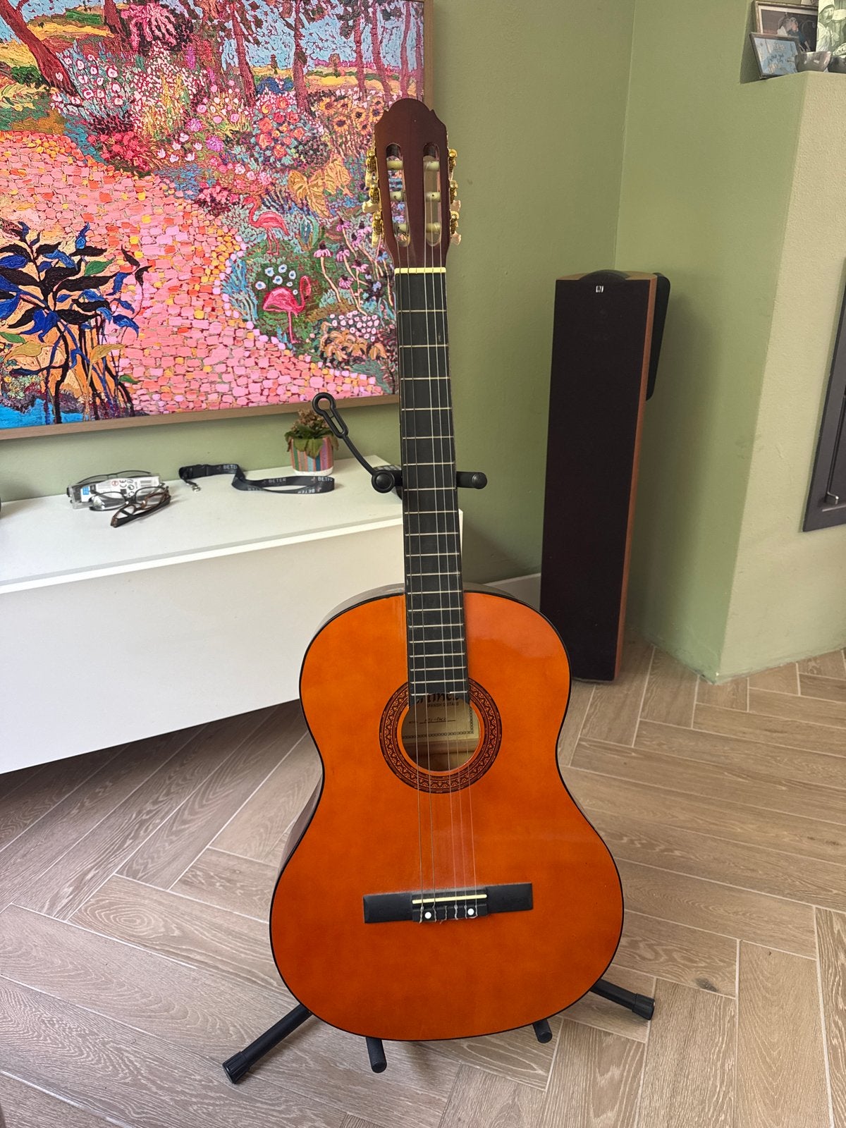Martinez Spaanse gitaar, Ophalen, Gebruikt, Klassieke of Spaanse gitaar