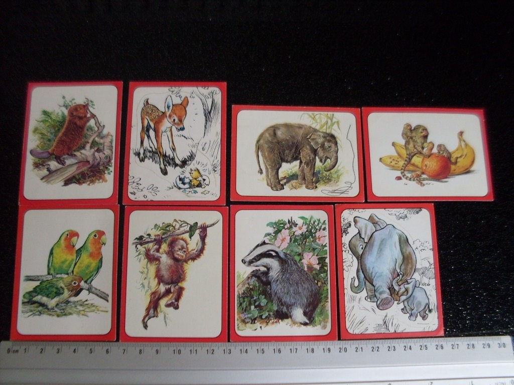 8x panini sticker Baby Zoo nrs 1 14 17 31 53 87 100 108, Verzenden, Zo goed als nieuw, Dier en Natuur