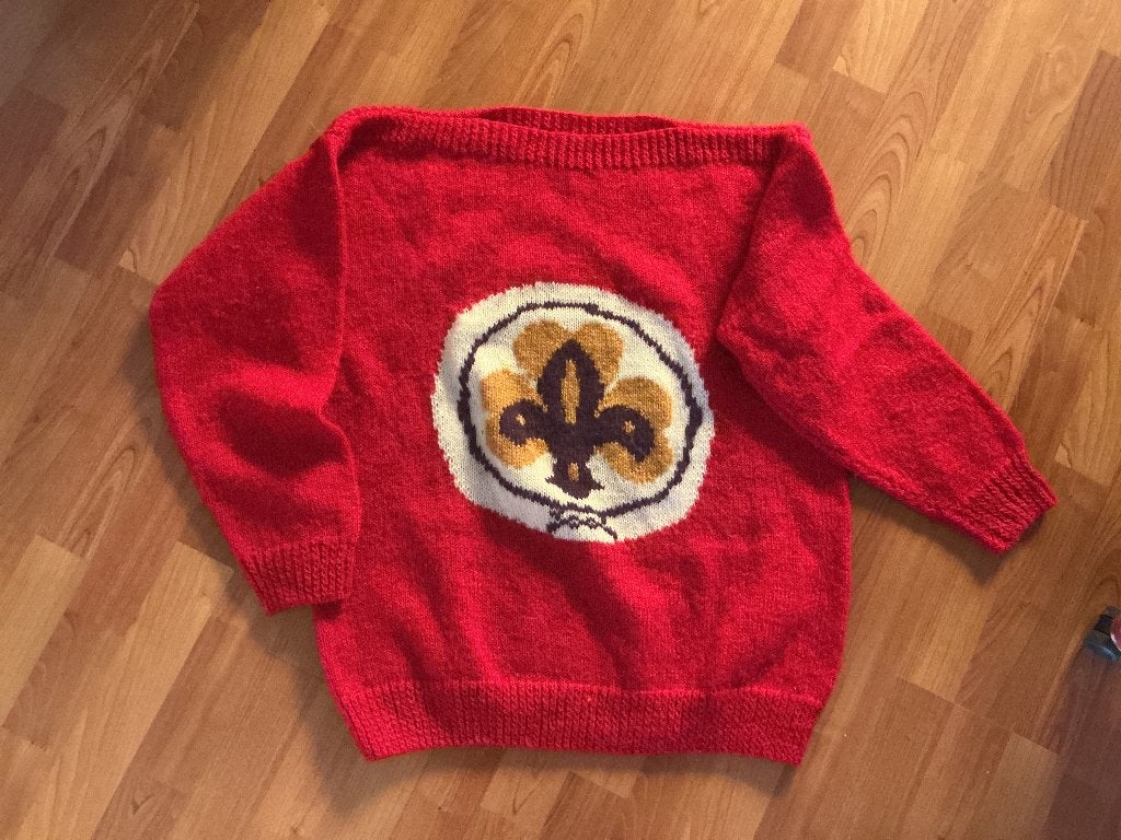 Trui scouting, Ophalen of Verzenden, Gebruikt, Kleding
