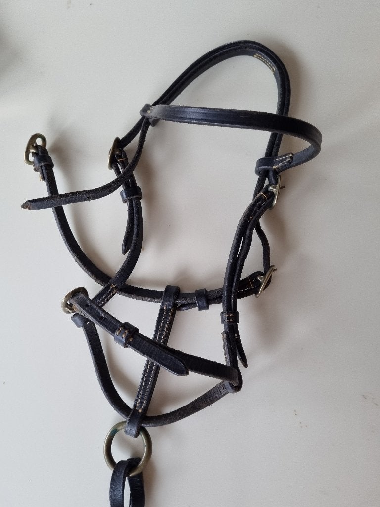 paarden tuig bruin leer voor een mini shetlander /falabela, Dieren en Toebehoren, Overige disciplines, Bruin, Zo goed als nieuw