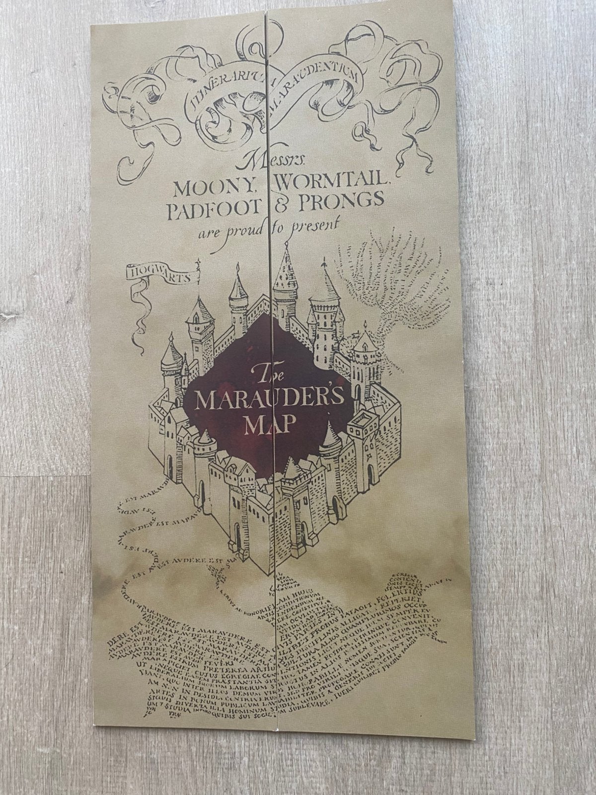 Harry Potter Marauder’s map, Ophalen of Verzenden, Zo goed als nieuw, 2000 tot heden, Landkaart