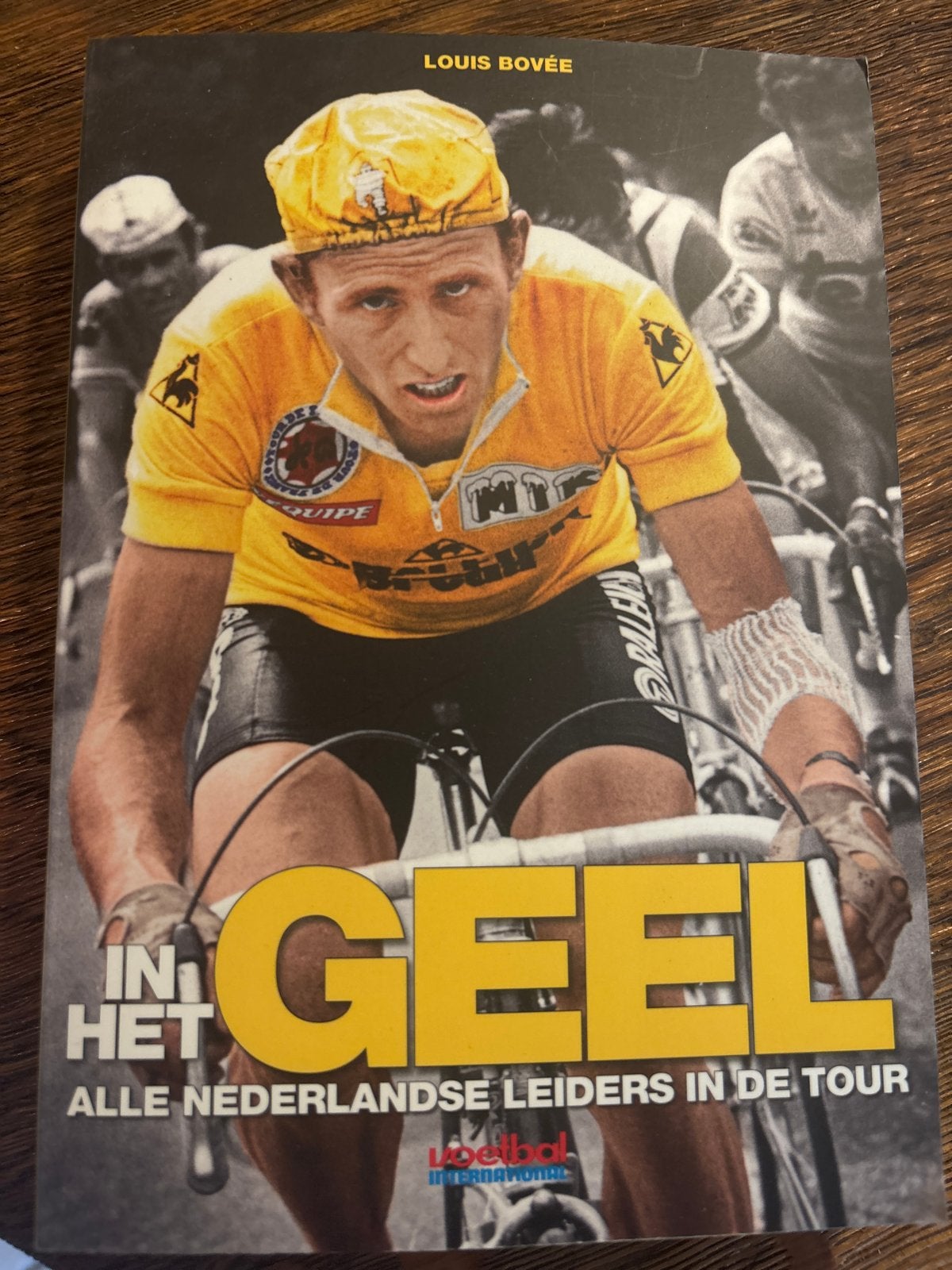 In Het Geel: Alle Nederlandse Leiders in de Tour, Ophalen of Verzenden, Gelezen, Lopen en Fietsen