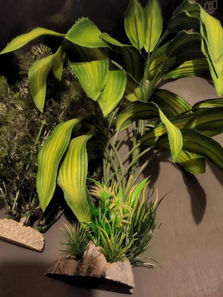 Kunstplanten voor in het aquarium, Ophalen, Plant(en), Steen of Hout