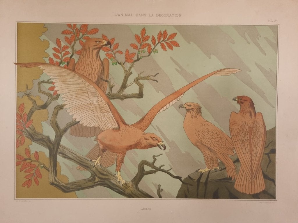 Art nouveau litho Aigles (adelaars) - M.P. Verneuil 1897, Ophalen, Lithografie, Dieren en Natuur, Gesigneerd in de plaat