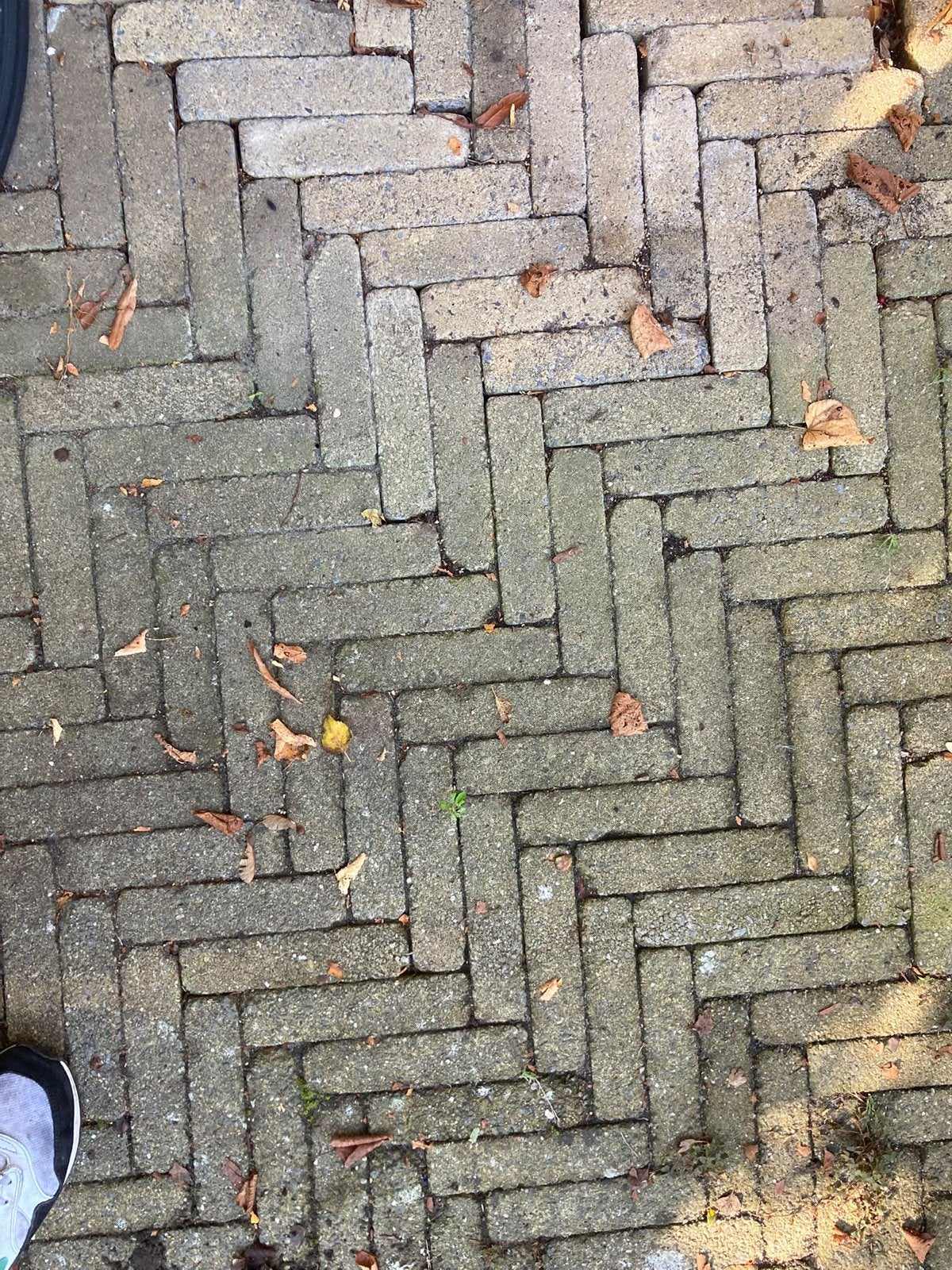 Gratis Waaltjes - ca. 13 m², Ophalen, Gebruikt, Klinkers, 10 m² of meer