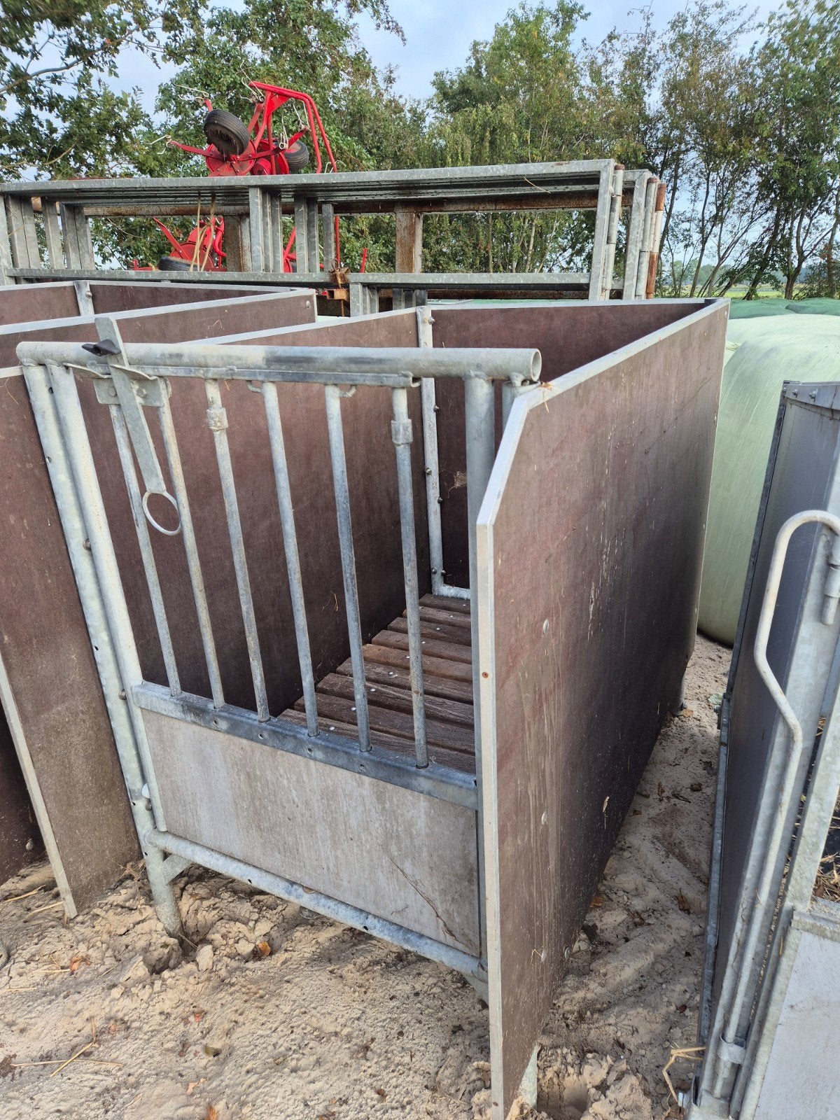 3 kalverboxen, Dieren en Toebehoren