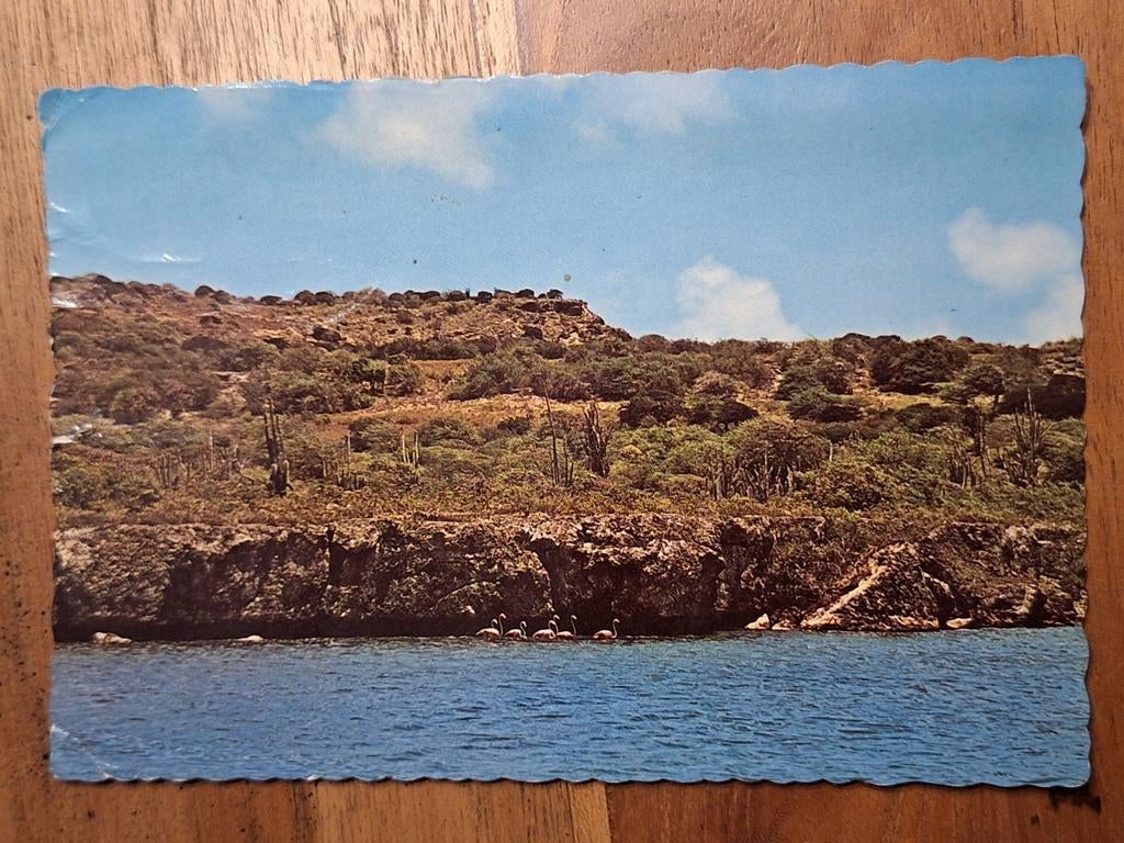 Nederlandse Antillen - Bonaire - Flamingo Island, Ophalen of Verzenden, Gelopen, Buiten Europa