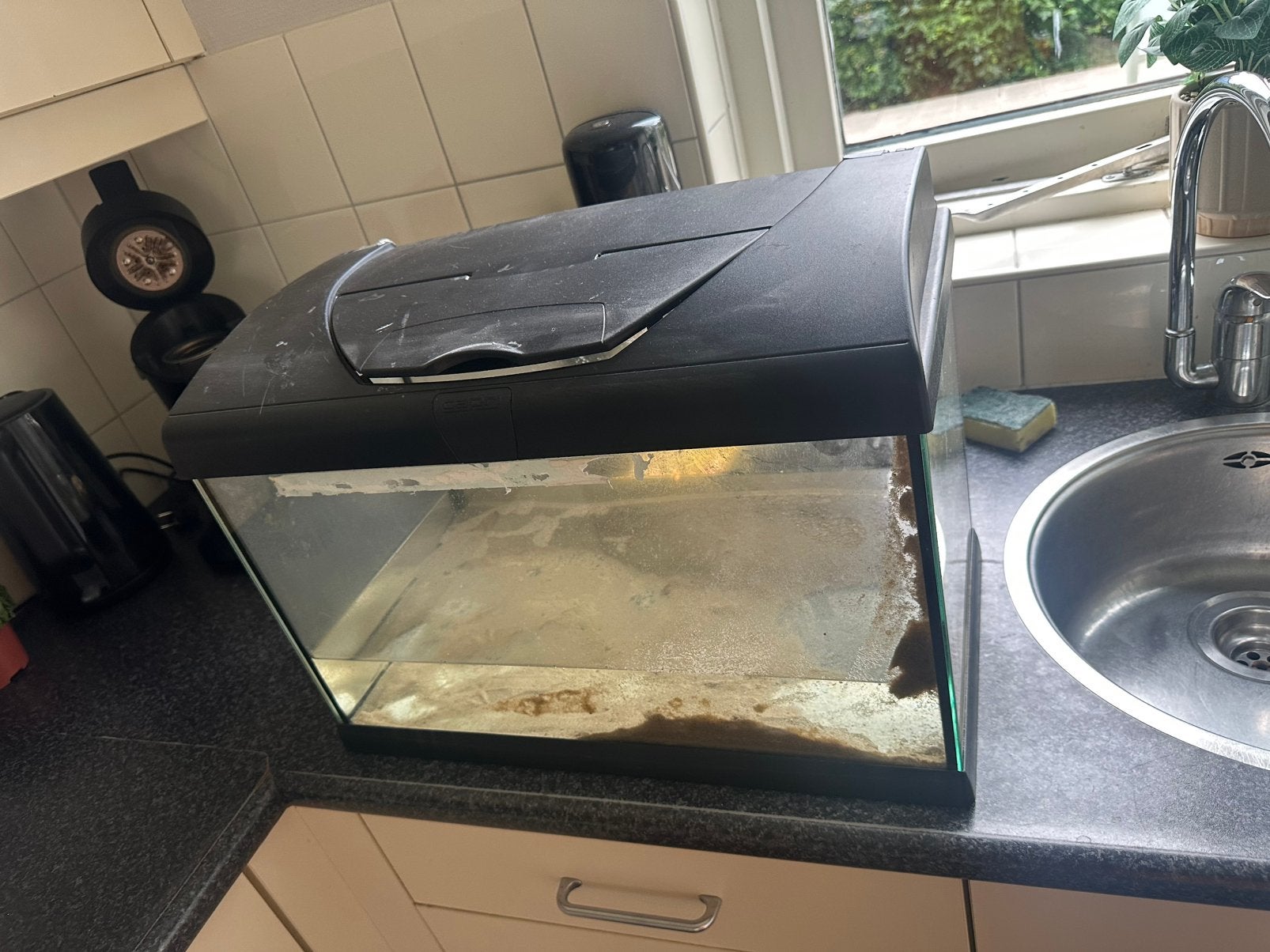 Aquarium of terrarium, Ophalen, Zo goed als nieuw, Leeg aquarium