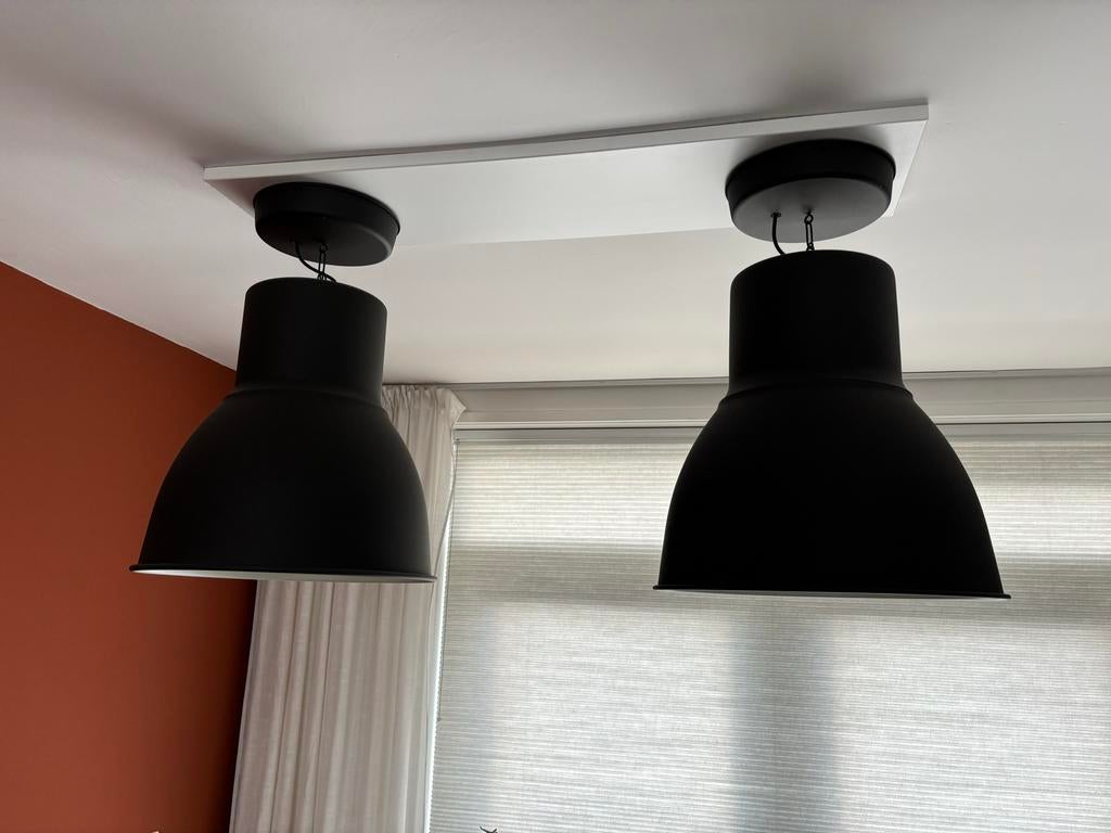 Set van 2 hektar zwarte plafondlampen - industrieel design, Huis en Inrichting, Lampen | Hanglampen, Ophalen, Zo goed als nieuw