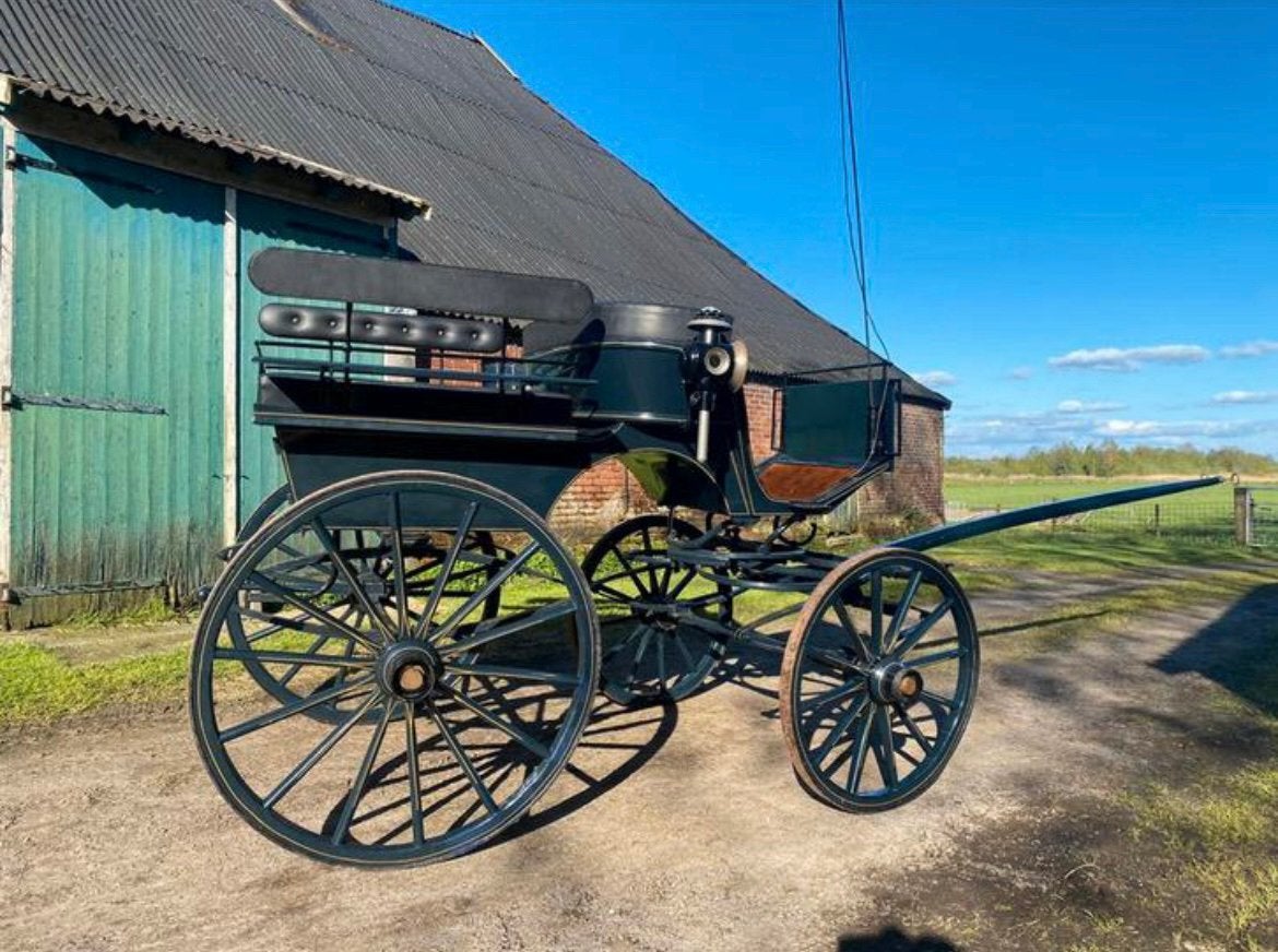 Rijtuig enkel en dubbelspan, Zo goed als nieuw, Paard