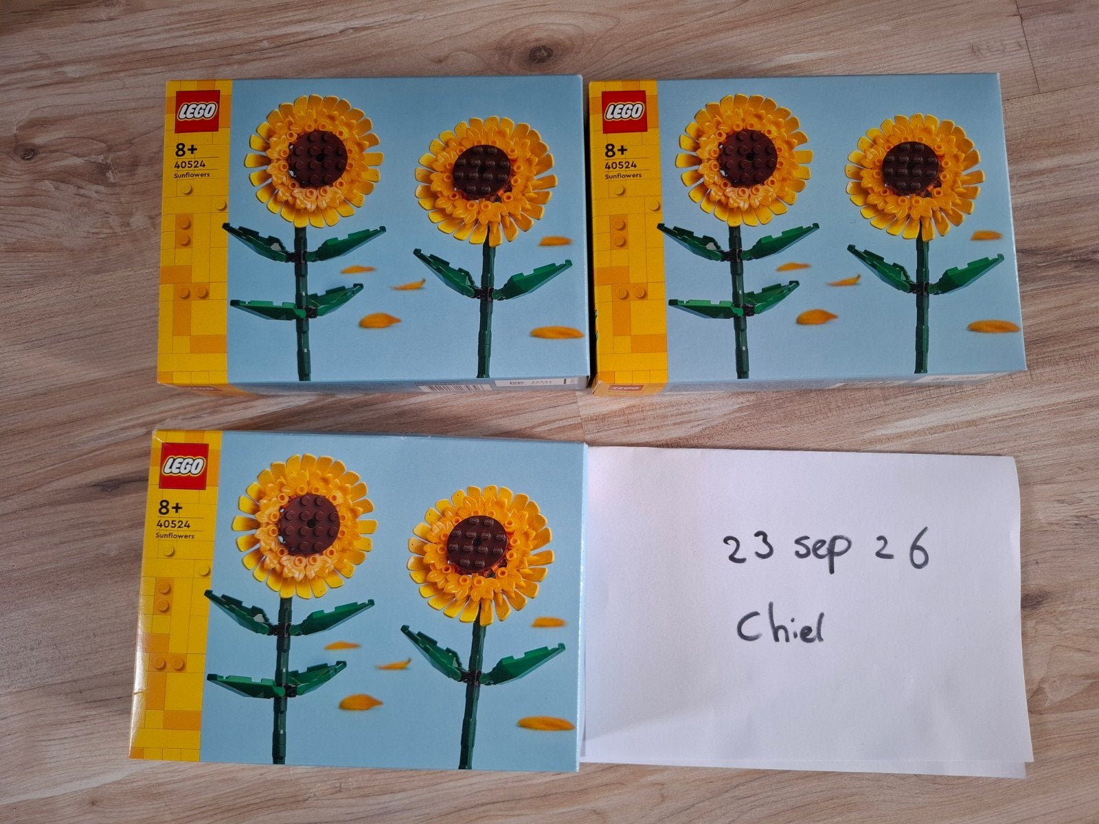 nieuw lego 40524, 40647, 40646, Ophalen of Verzenden, Nieuw