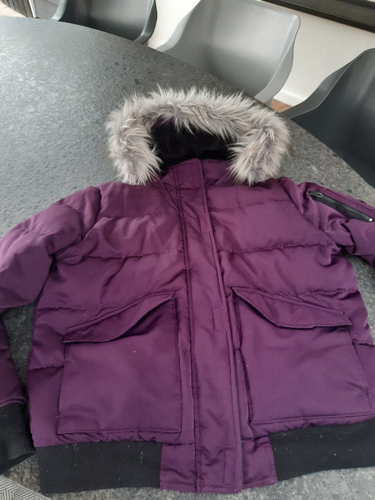 winterjas donsjas hollister xl 44 46 met capuchon zakken, Paars, Maat 46/48 (XL) of groter, Ophalen of Verzenden, Zo goed als nieuw