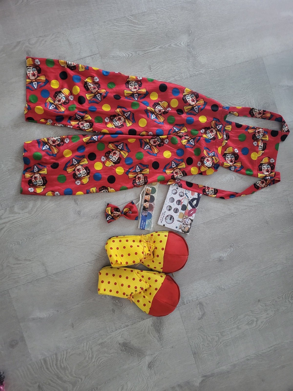 Clownspak met accessoires en schmink, Ophalen of Verzenden, Zo goed als nieuw, Pak of Jurk
