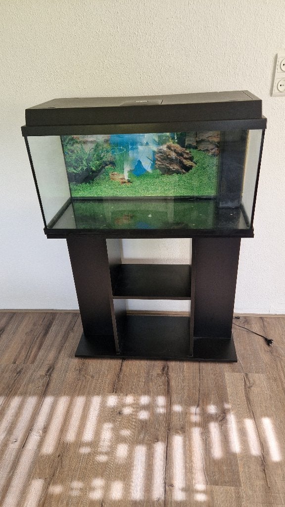 Aquarium Juwel Rio 125, inclusief meubel en toebehoren, Dieren en Toebehoren, Gebruikt, Leeg aquarium, Juwel, Ophalen