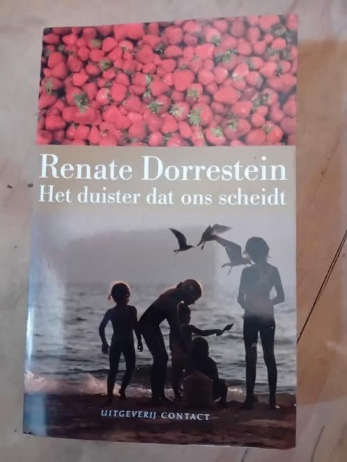 6 x Renate dorrestein het duister dat ons scheidt, Ophalen of Verzenden, Gelezen, Renate Dorrestein