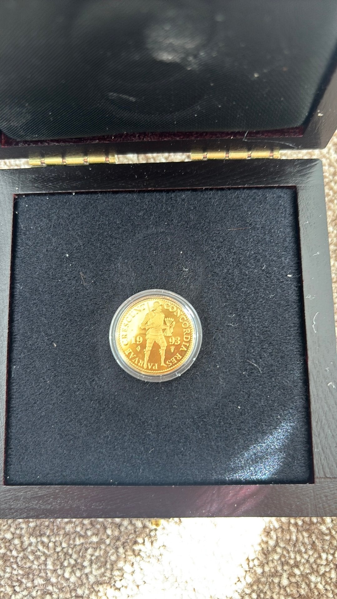 Gouden munt, Postzegels en Munten, Munten | Nederland, Ophalen of Verzenden, Vóór koninkrijk, Overige waardes