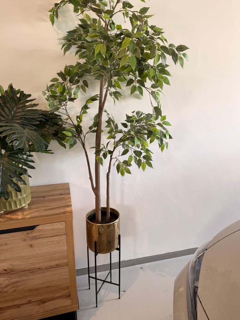 Grote kunstplant met gouden pot en standaard, Ophalen, Binnen, Groen, Kunstplant