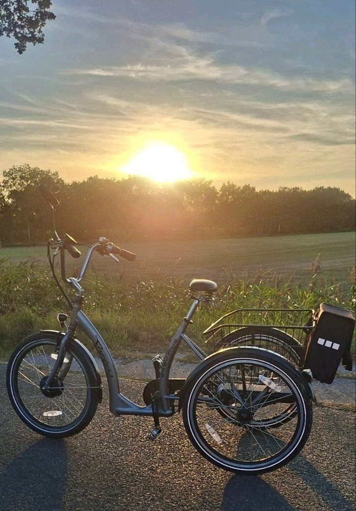 Troy Bikes elektrische driewieler, Ophalen of Verzenden, Zo goed als nieuw, Velgrem, Troy Bikes
