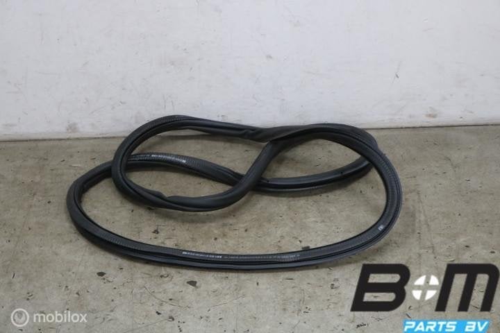 Portierrubber linksachter Skoda Fabia 4 6VE867367B, Gebruikt