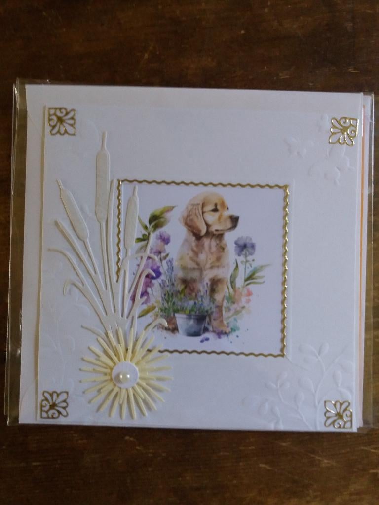 Blanko kaartje met Labrador no. 2422, Ophalen of Verzenden, Nieuw, Dieren