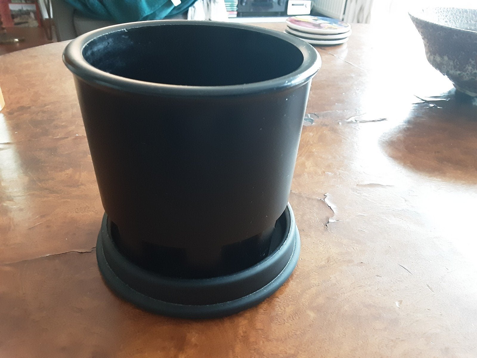 Cactus potje Leerdam met schotel - Zwart glas, Kunststof, Gebruikt, Rond, Binnen