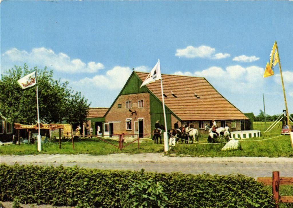 Kampeerboerderij Ponykamp Tweehek, Westdorp [Gem. Borger] -, Ophalen of Verzenden, Voor 1920, Gelopen, Noord-Brabant