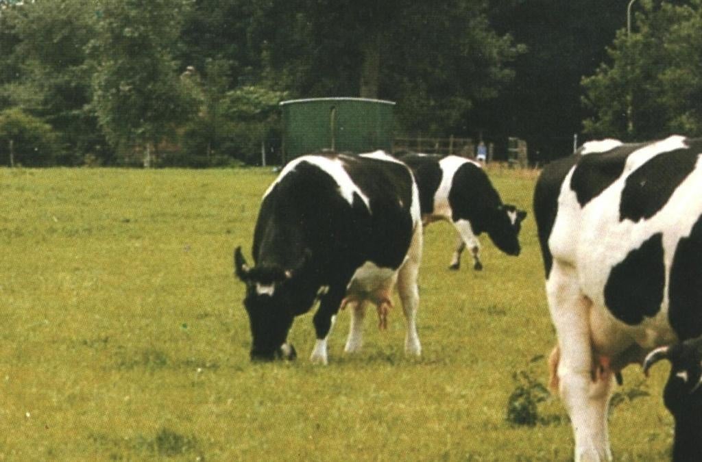 993159 Midlaren 781 Drenthe Boerderij  Gelopen met postzegel, Ophalen of Verzenden, 1980 tot heden, Gelopen, Drenthe