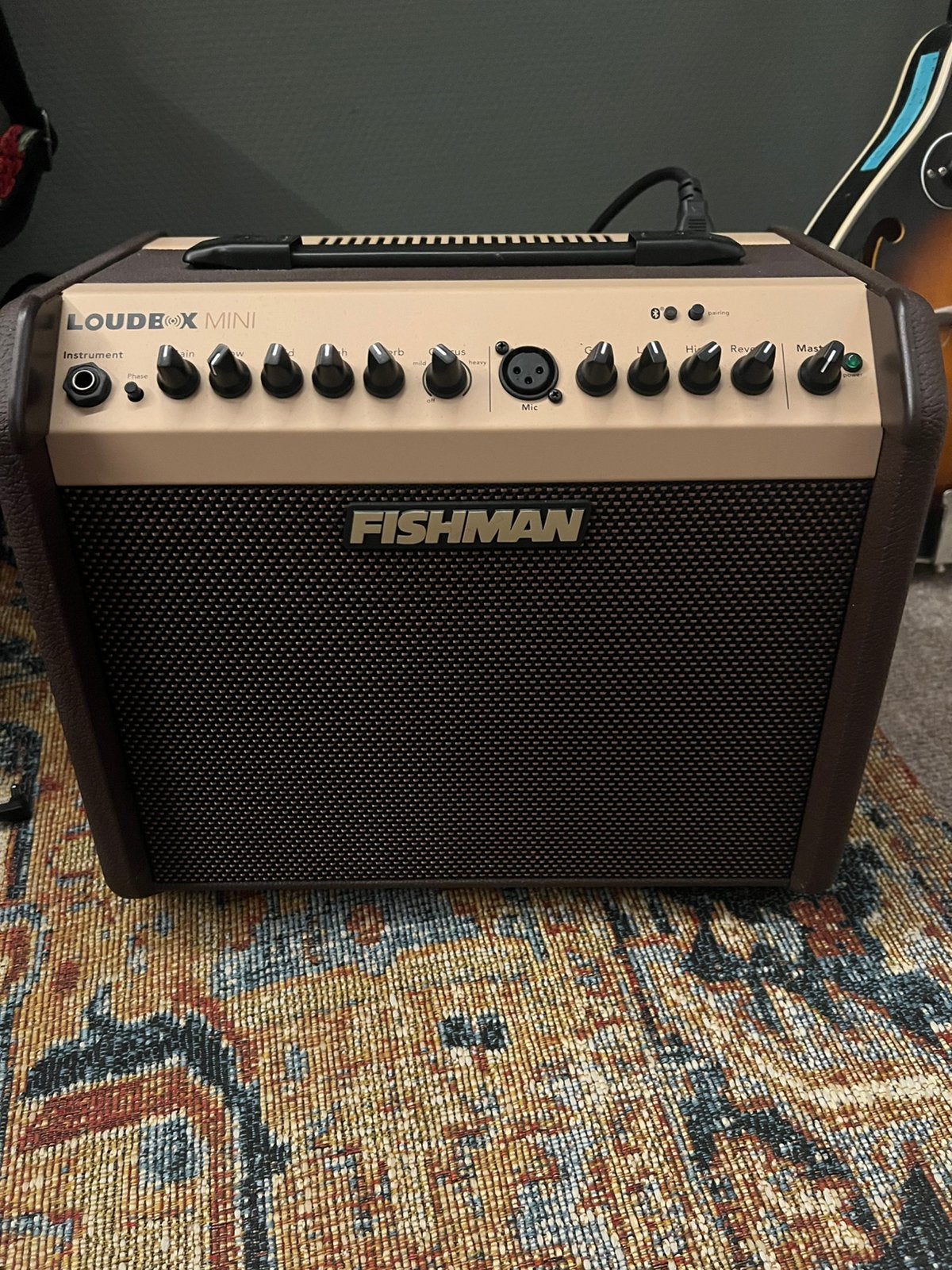 Fishman Loudbox Mini, Muziek en Instrumenten, Ophalen, Zo goed als nieuw, Minder dan 50 watt