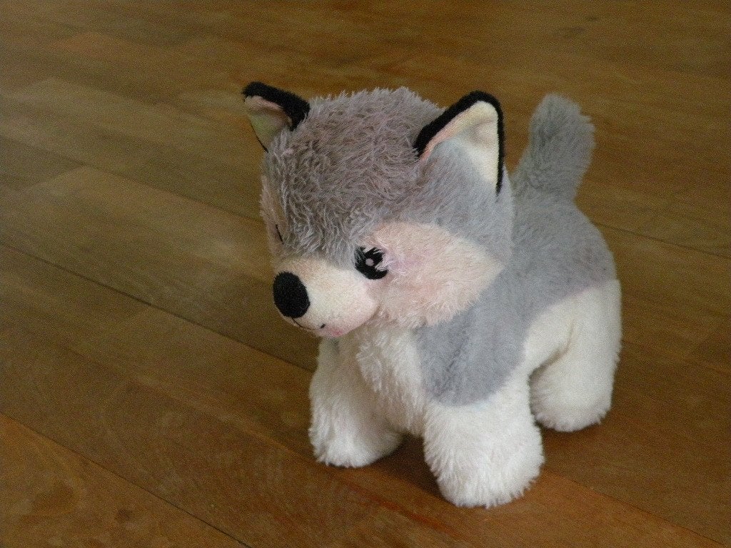 Hond die blaft, kwispelt en loopt., Ophalen of Verzenden, Zo goed als nieuw, Hond