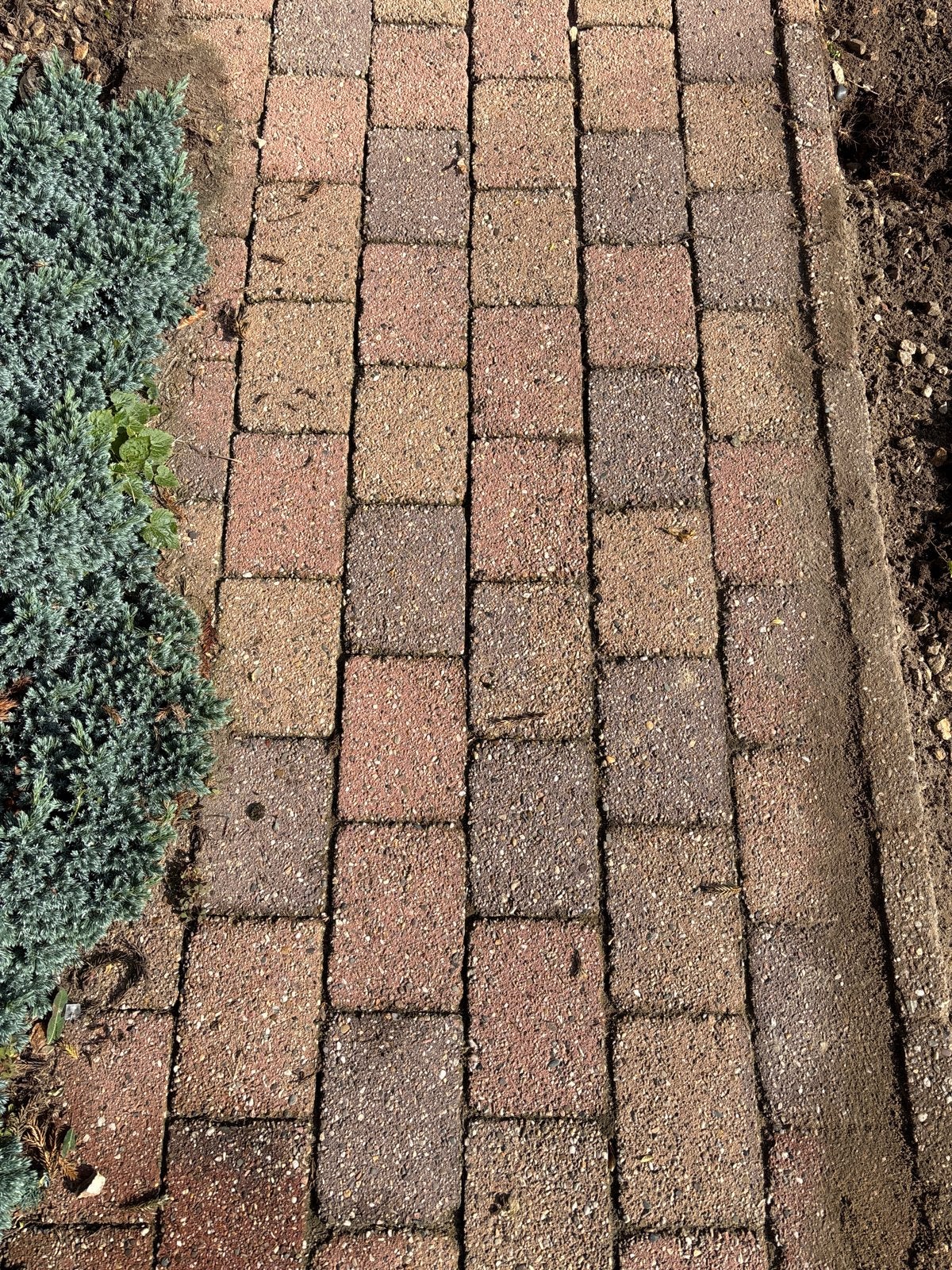Gebruikte betonnen klinkers voor tuin of pad, Gebruikt, Klinkers, Beton, 5 tot 10 m²