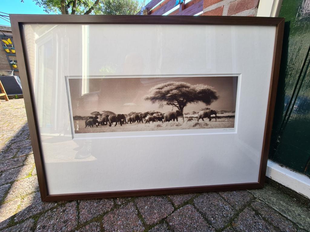 MOOIE GROTE LIJST - OLIFANTEN OP DE SAVANNA, Ophalen of Verzenden, Zo goed als nieuw